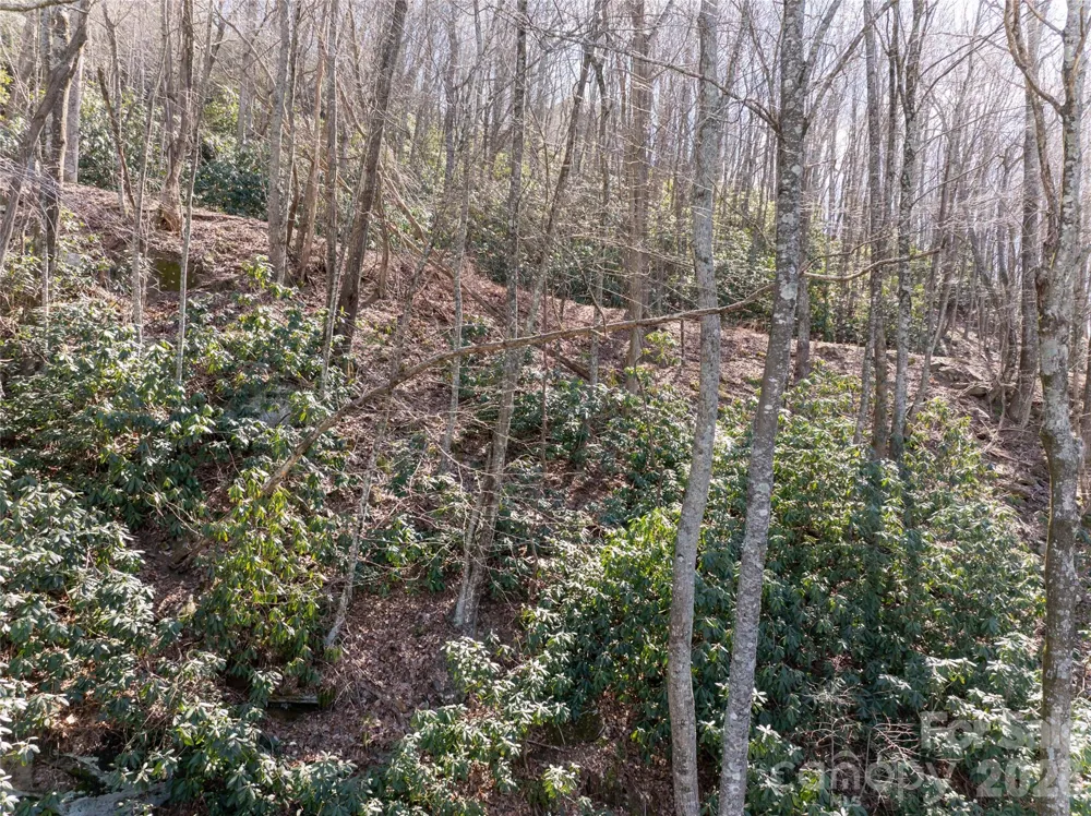 99999 Laurel Drive #12&13 Mills River, NC 28759