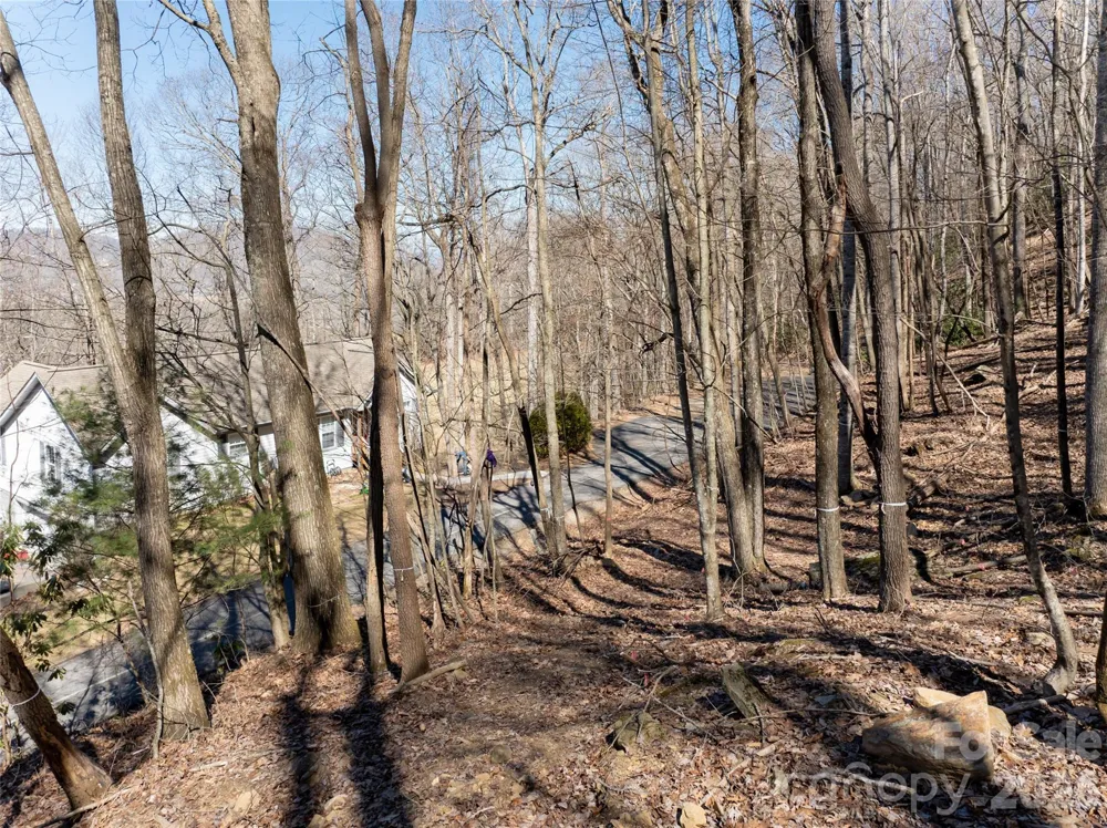 99999 Laurel Drive #12&13 Mills River, NC 28759
