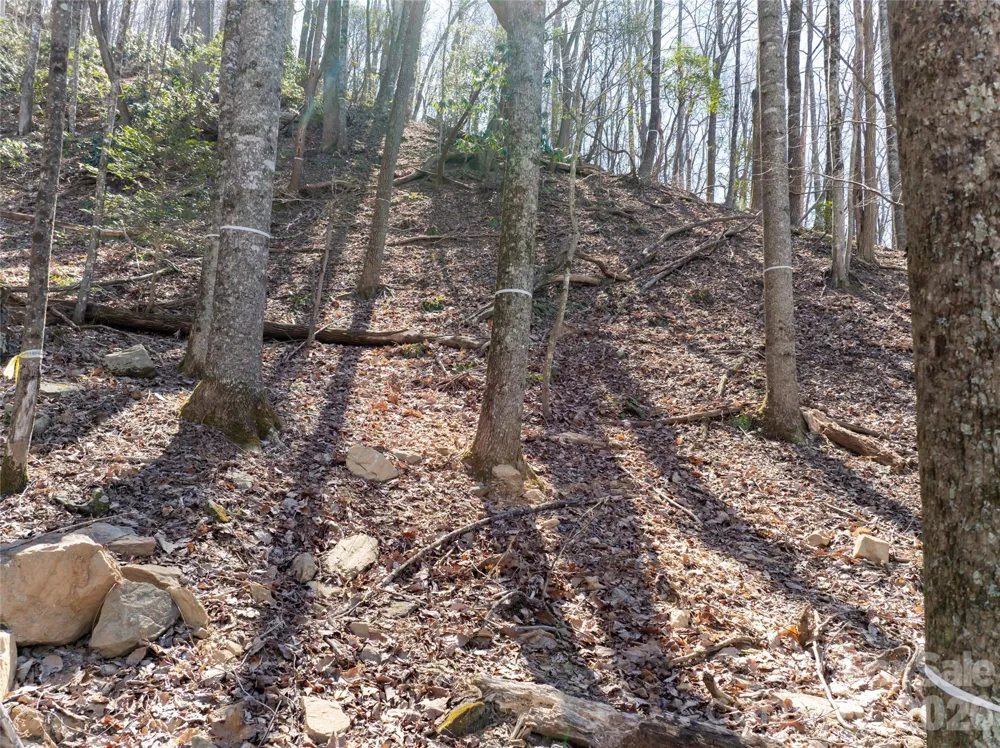 99999 Laurel Drive #12&13 Mills River, NC 28759