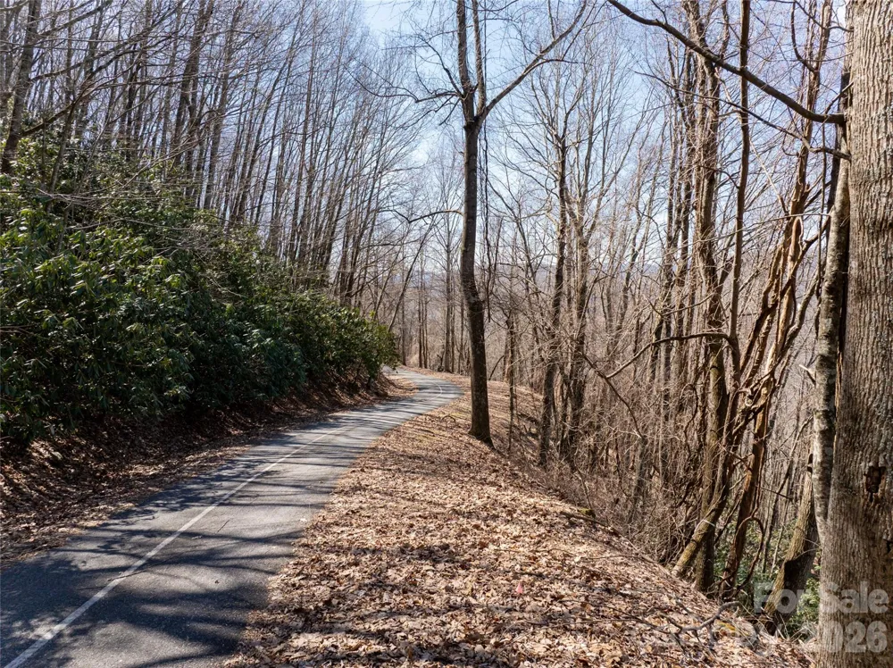 99999 Laurel Drive #12&13 Mills River, NC 28759