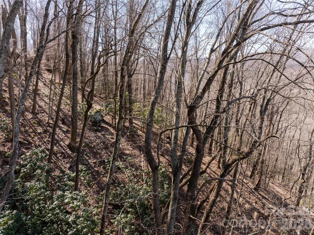 99999 Laurel Drive #12&13 Mills River, NC 28759