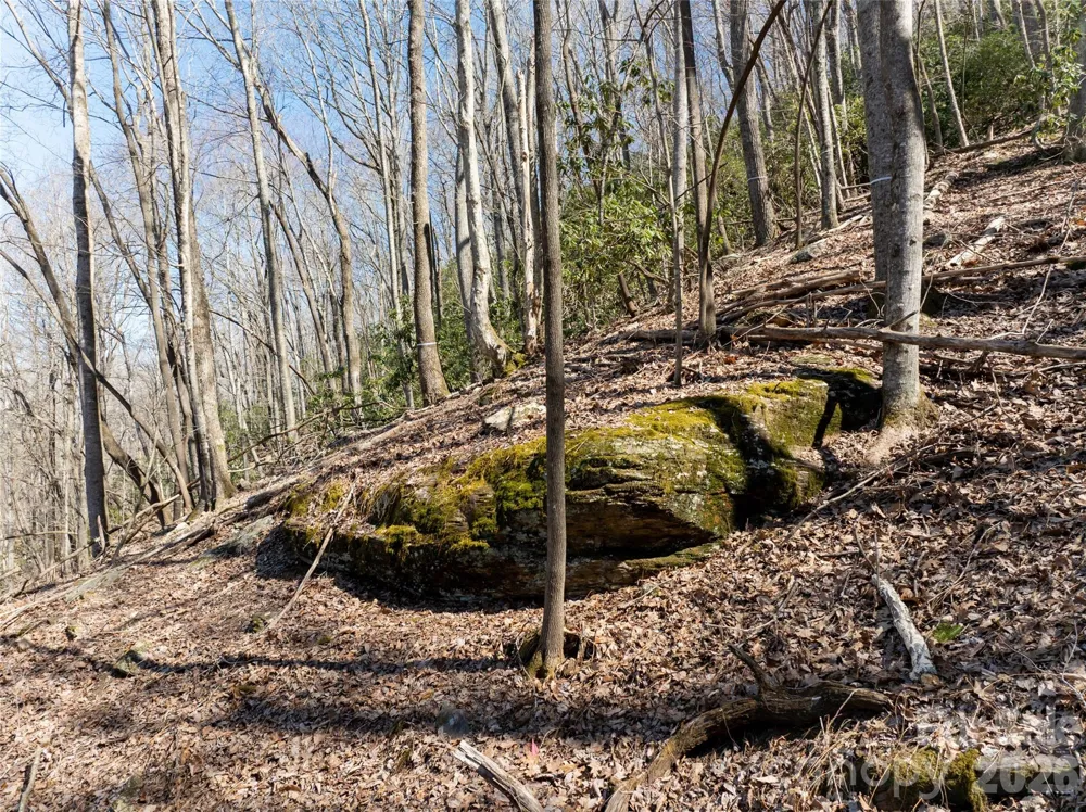 99999 Laurel Drive #12&13 Mills River, NC 28759