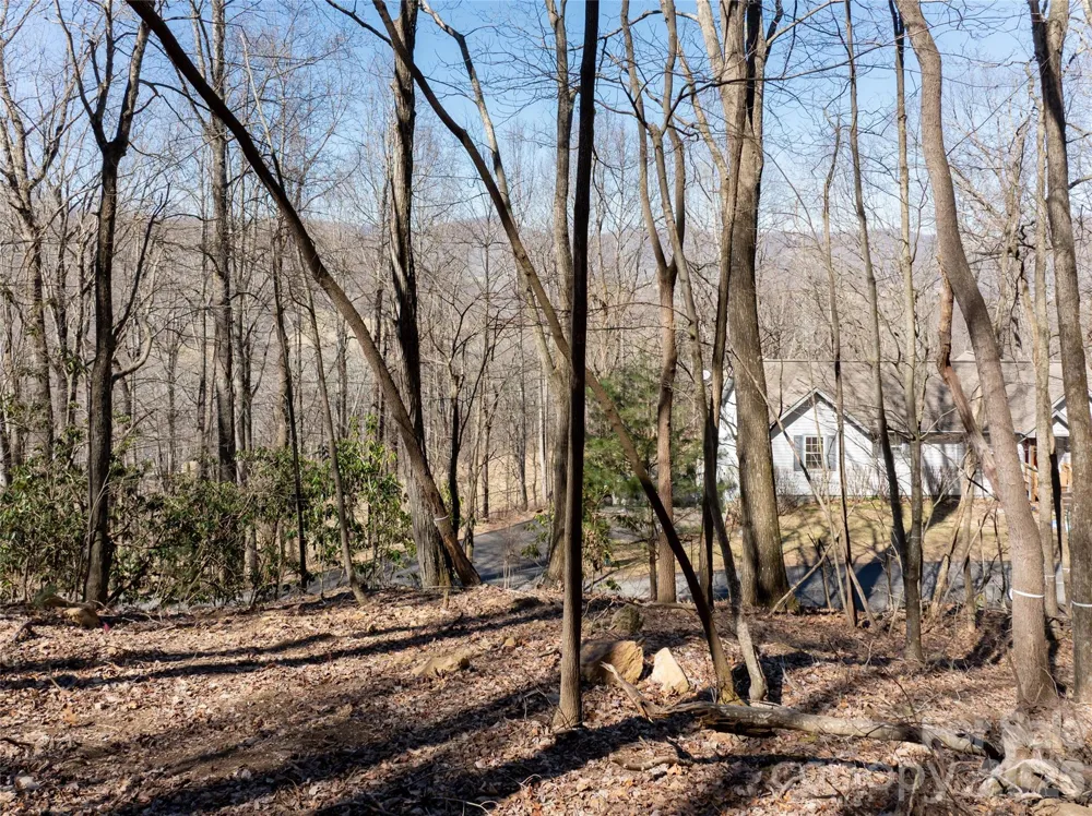 99999 Laurel Drive #12&13 Mills River, NC 28759