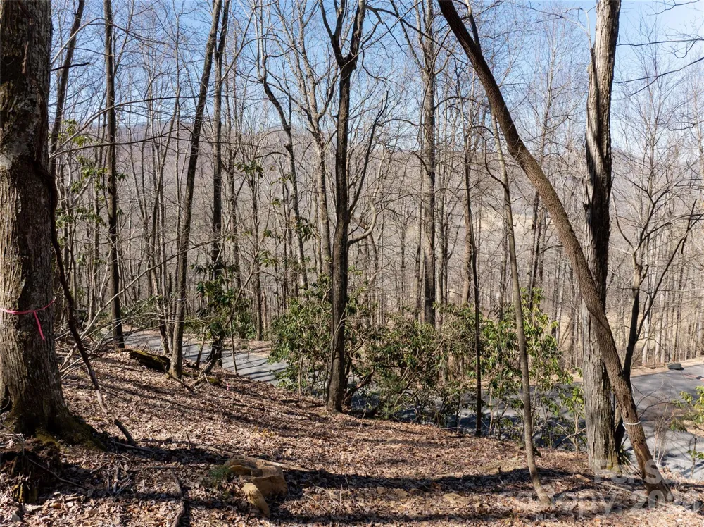 99999 Laurel Drive #12&13 Mills River, NC 28759