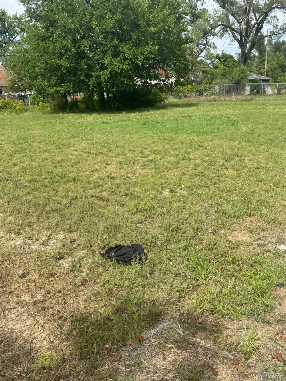 20195 Omira Street Detroit City, MI 48203