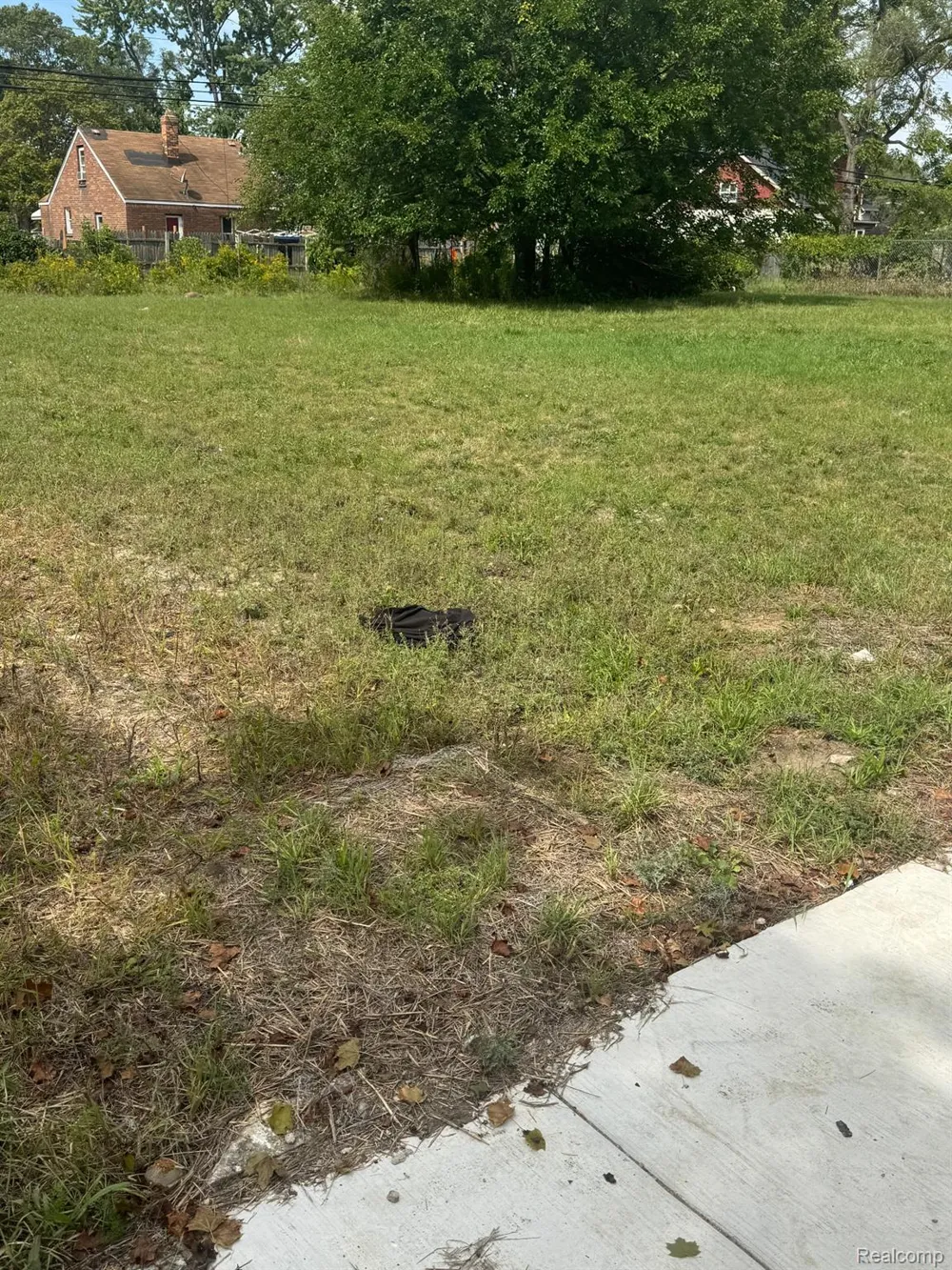 20195 Omira Street Detroit City, MI 48203