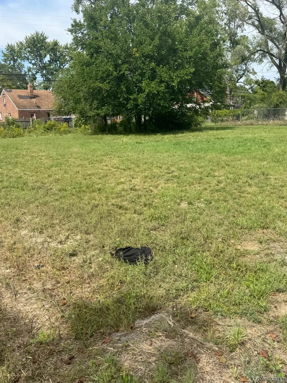 20195 Omira Street Detroit City, MI 48203