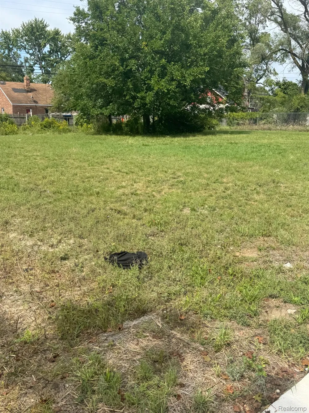 20195 Omira Street Detroit City, MI 48203