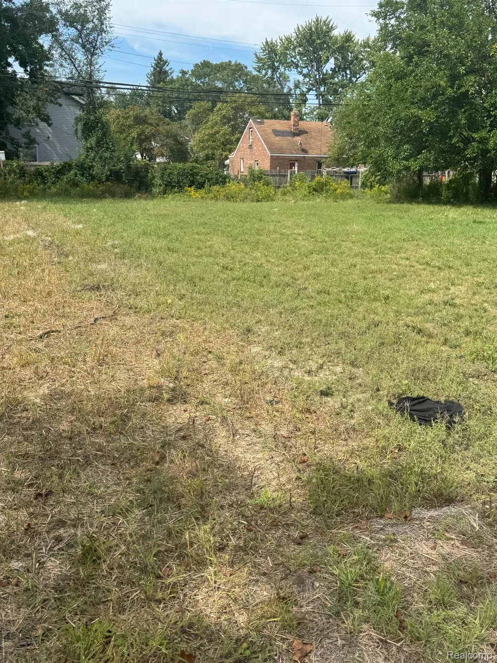 20195 Omira Street Detroit City, MI 48203