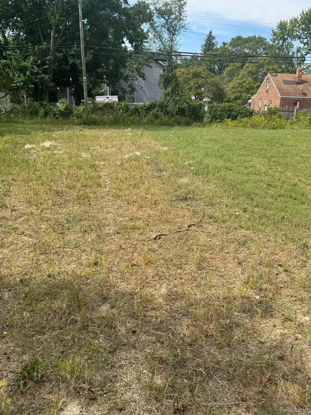 20195 Omira Street Detroit City, MI 48203
