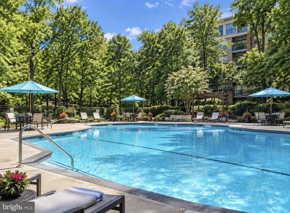 2226 CASTLE ROCK SQUARE #1B Reston, VA 20191
