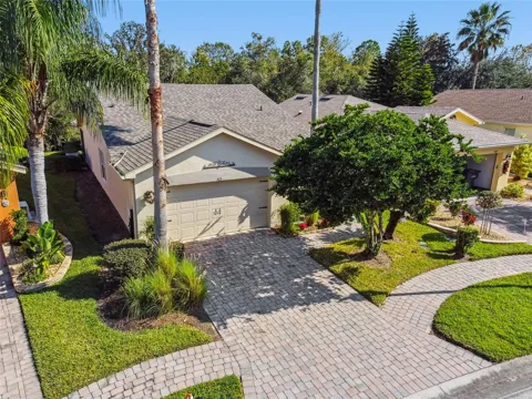 513 VINEYARD WAY