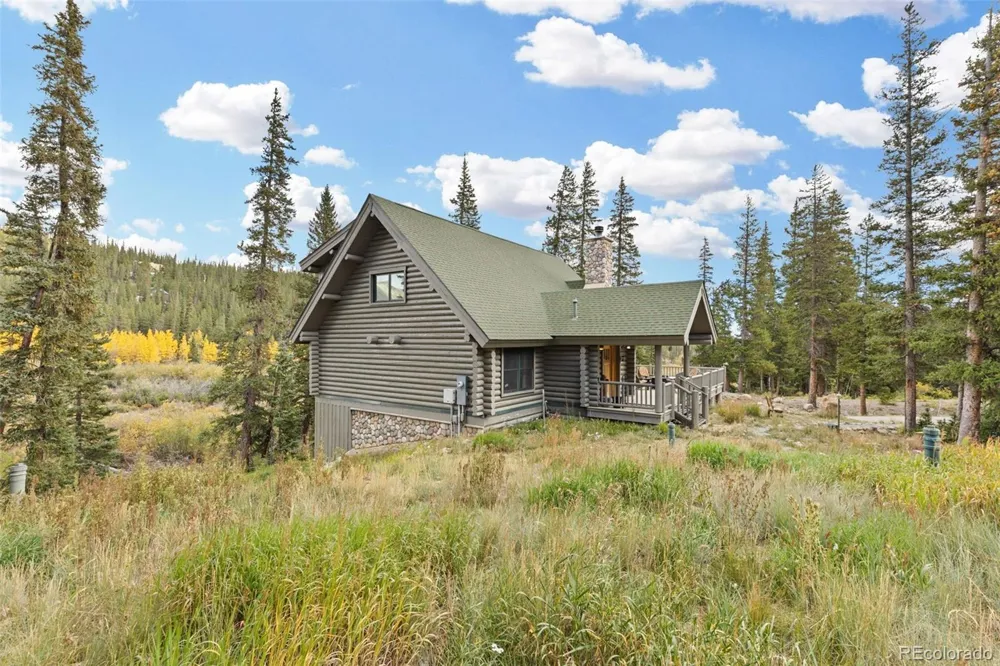 925 Gold Pan Lane Fairplay, CO 80440