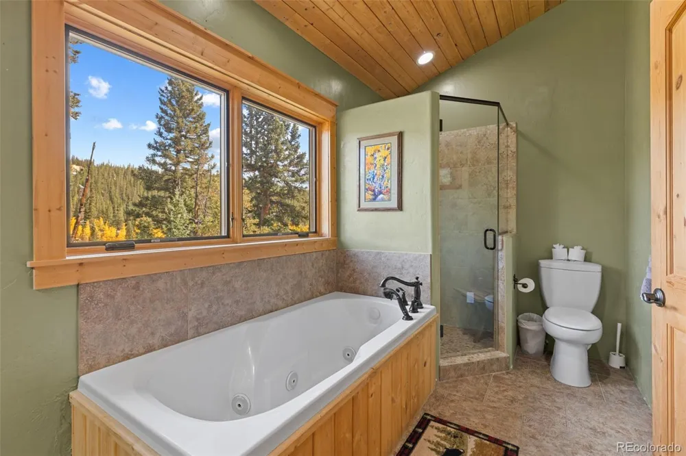 925 Gold Pan Lane Fairplay, CO 80440