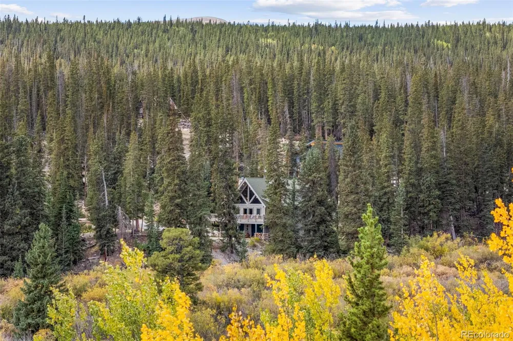 925 Gold Pan Lane Fairplay, CO 80440