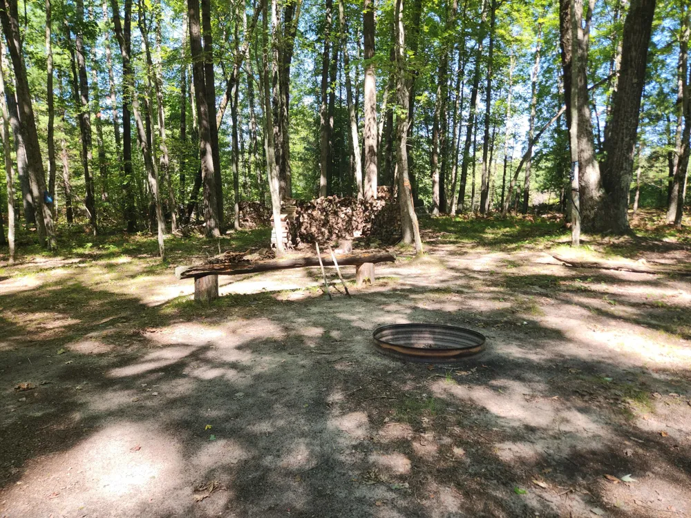 1642 M-37 Baldwin, MI 49304