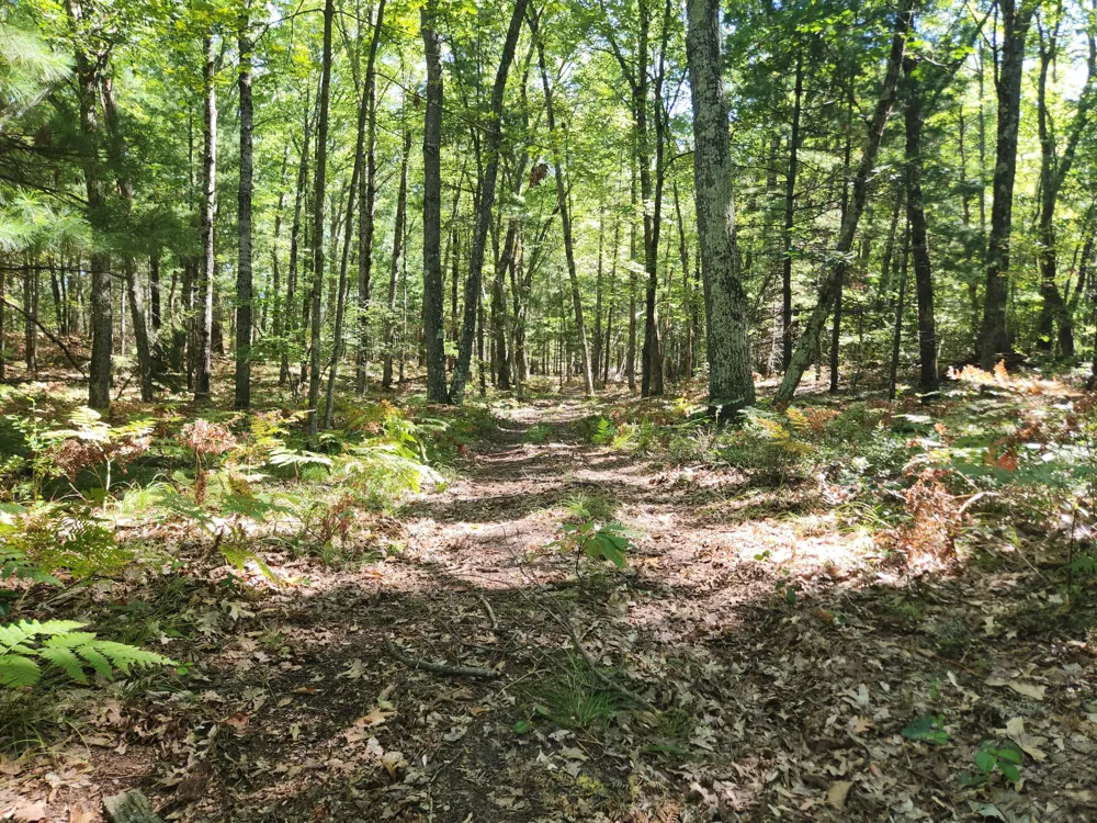 1642 M-37 Baldwin, MI 49304