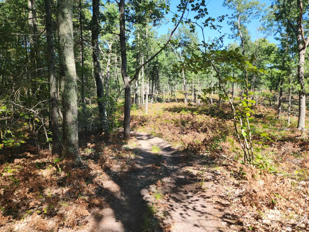 1642 M-37 Baldwin, MI 49304