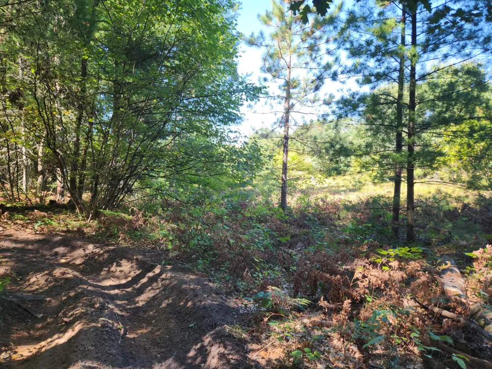 1642 M-37 Baldwin, MI 49304