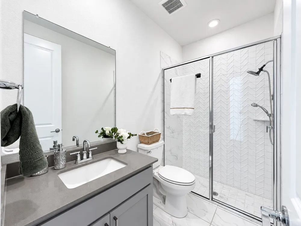 17293 Texas Pistache Drive Dallas, TX 75252