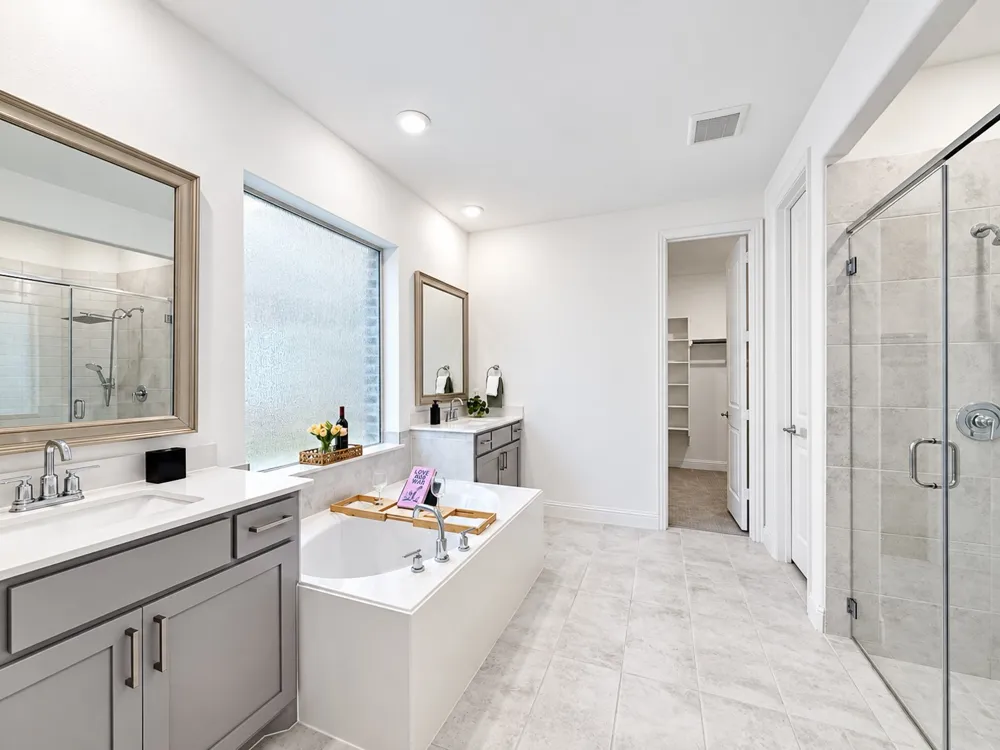 17293 Texas Pistache Drive Dallas, TX 75252