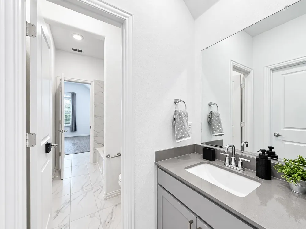 17293 Texas Pistache Drive Dallas, TX 75252