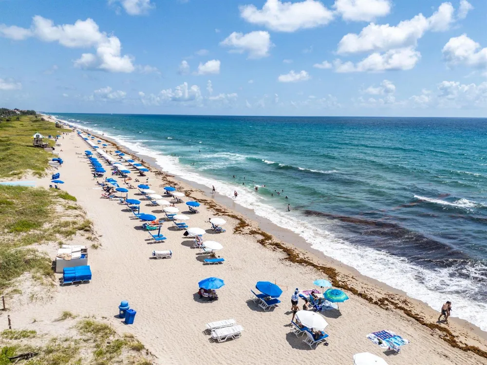 200 NE 2nd Avenue #310 Delray Beach, FL 33444