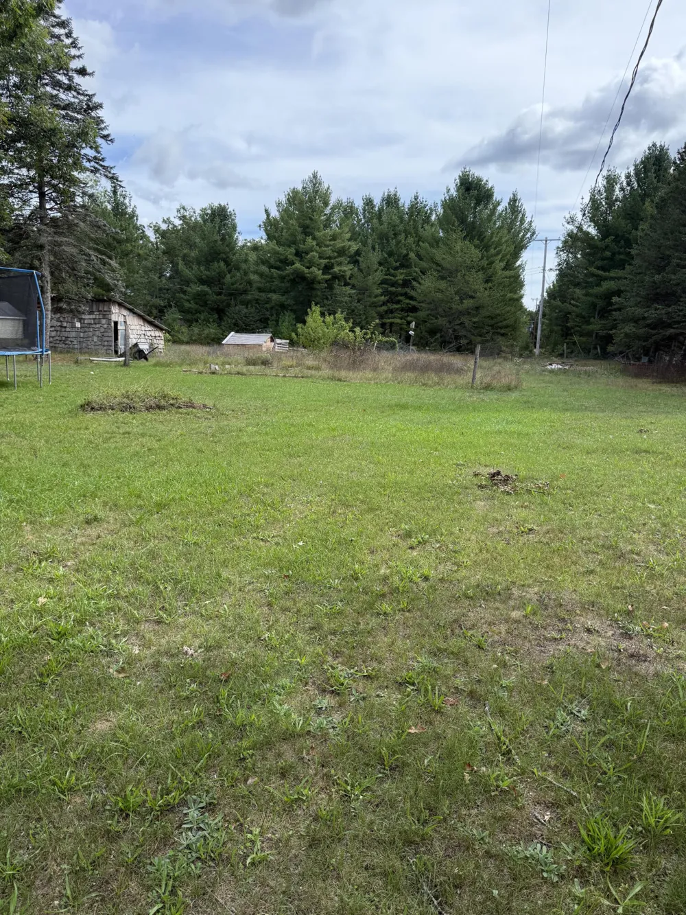 19520 Hoxeyville Road Wellston, MI 49689