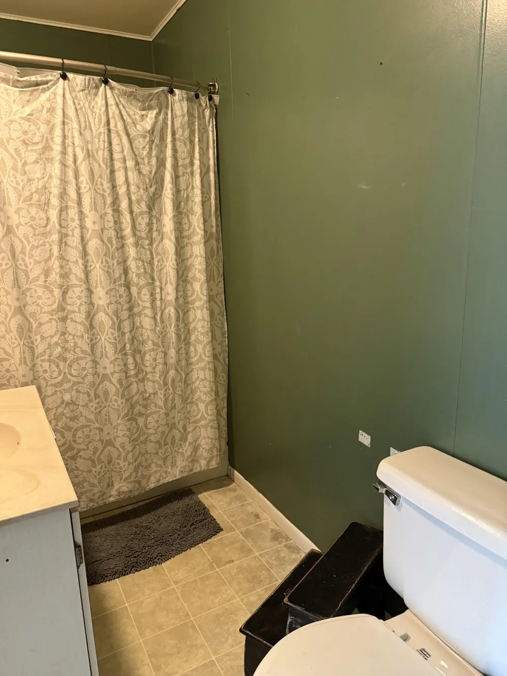 19520 Hoxeyville Road Wellston, MI 49689