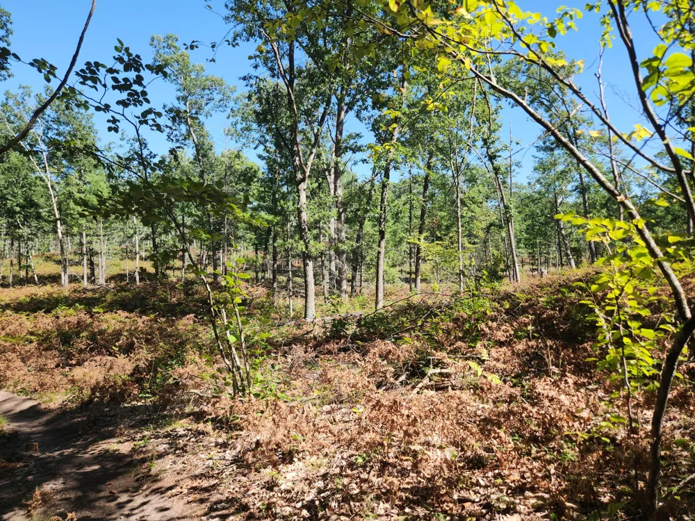 1642 M-37 Peacock Township, MI 49304