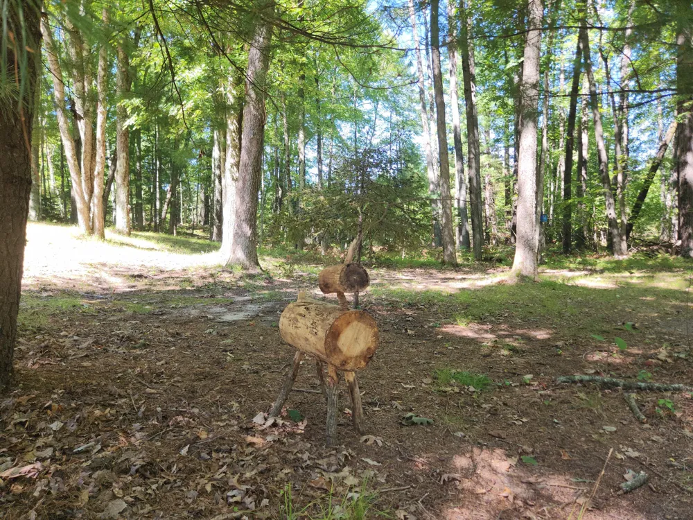 1642 M-37 Peacock Township, MI 49304