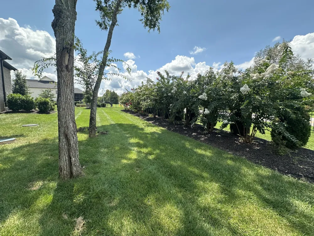 1003 Quillen Way Lebanon, TN 37087