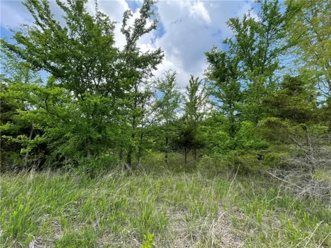 Posy Mountain Drive Lot 319 Drive