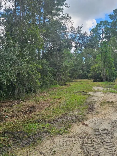 1746 COUNTRY WOODS DRIVE