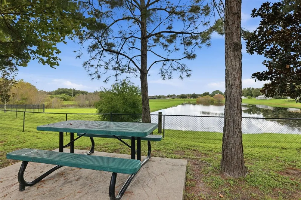 10519 WHISPERING HAMMOCK DRIVE Riverview, FL 33578