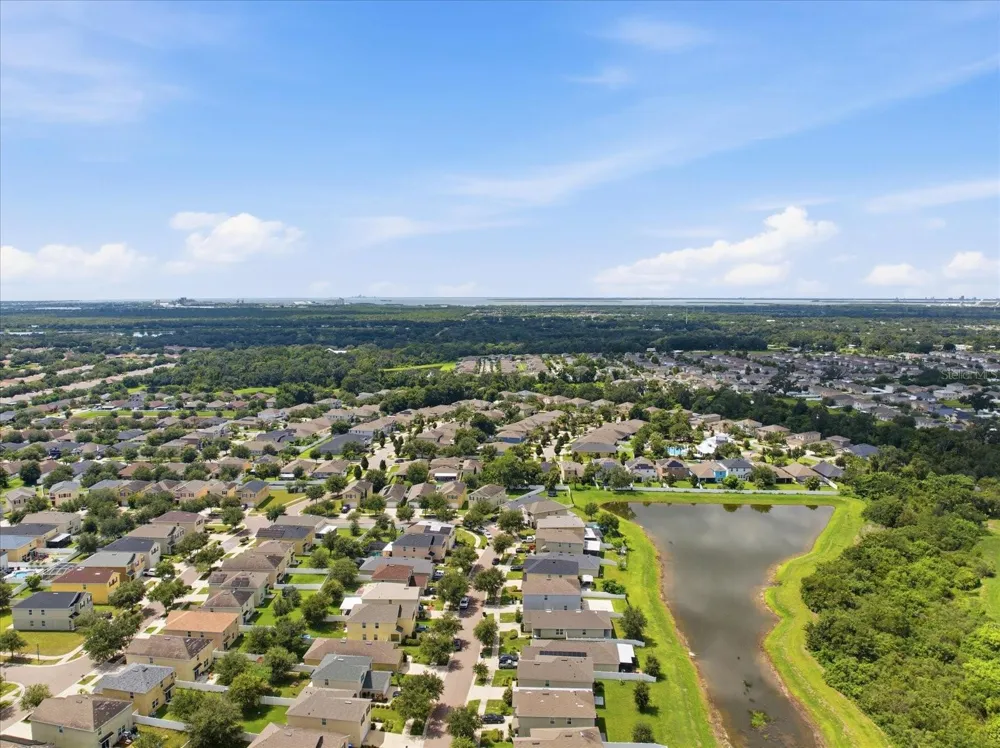 10519 WHISPERING HAMMOCK DRIVE Riverview, FL 33578