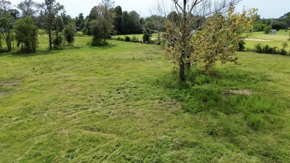 10 County Road 622 Kirbyville, TX 75956