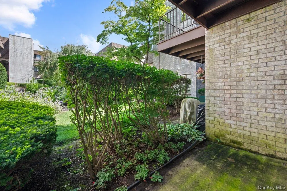89 Broadway #204 White Plains, NY 10603