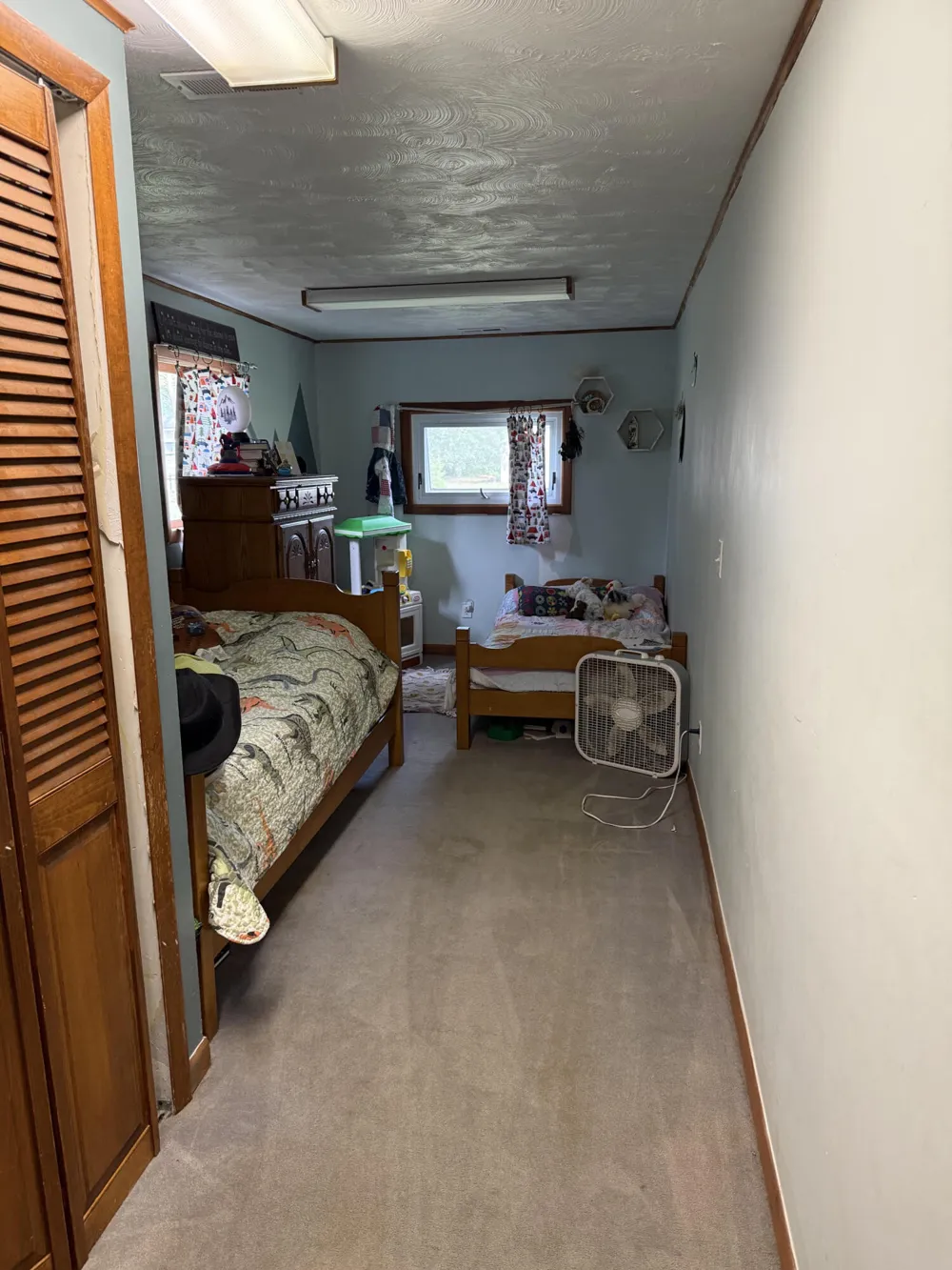 19520 Hoxeyville Road Norman Township, MI 49689