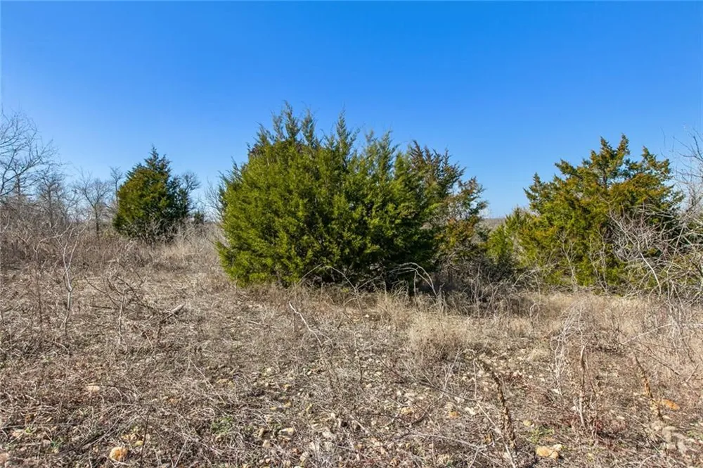 10740 Camino Real Kyle, TX 78640