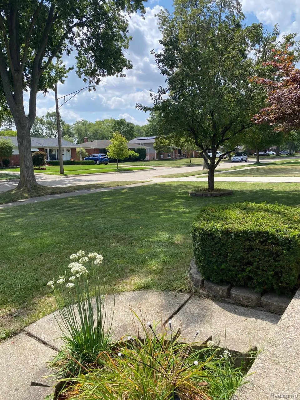 8863 Birkhill Drive Sterling Heights City, MI 48314