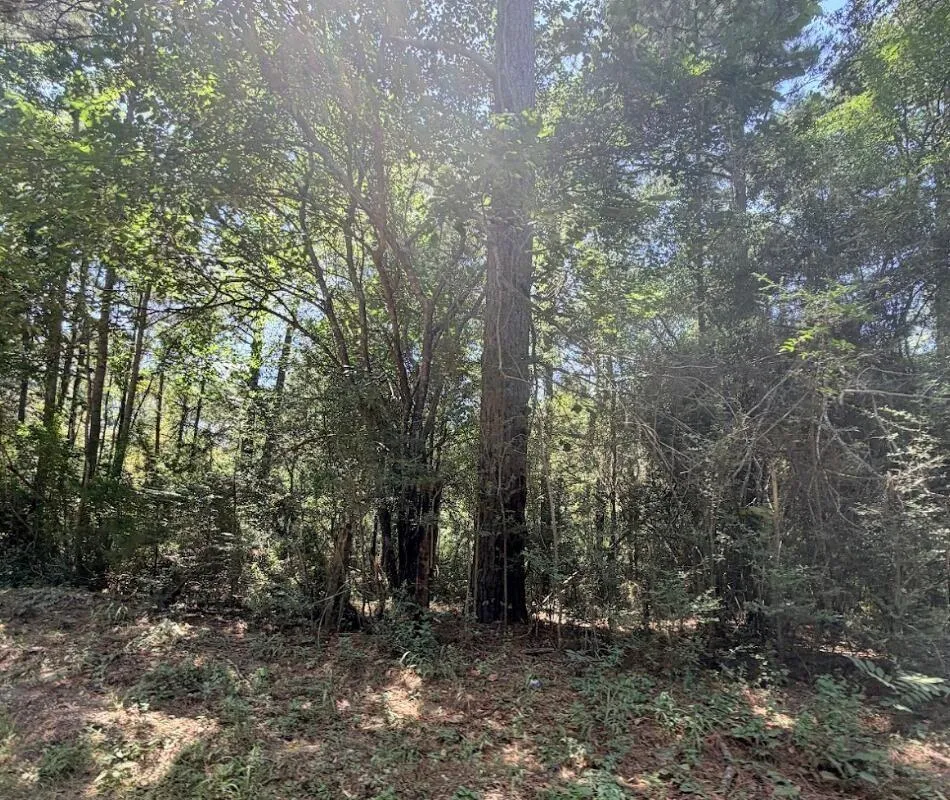 18 Cr 3103 Call, TX 75933