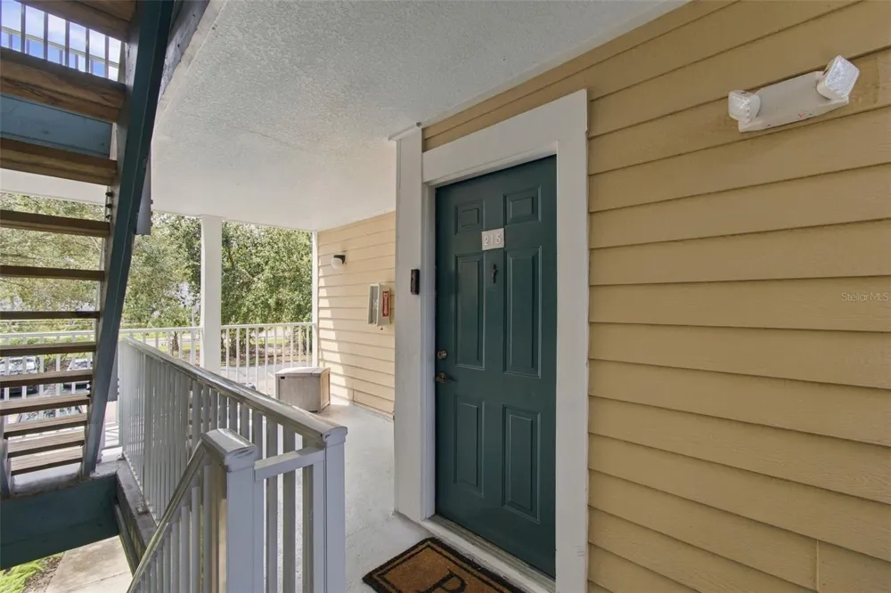 4115 CHATHAM OAK COURT #215 Tampa, FL 33624