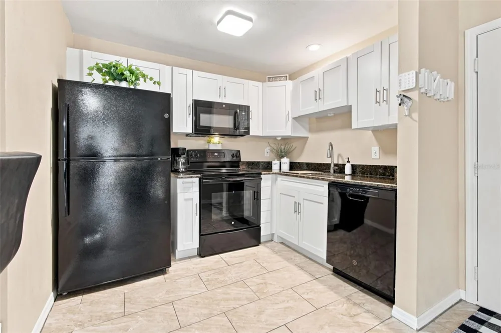 4115 CHATHAM OAK COURT #215 Tampa, FL 33624