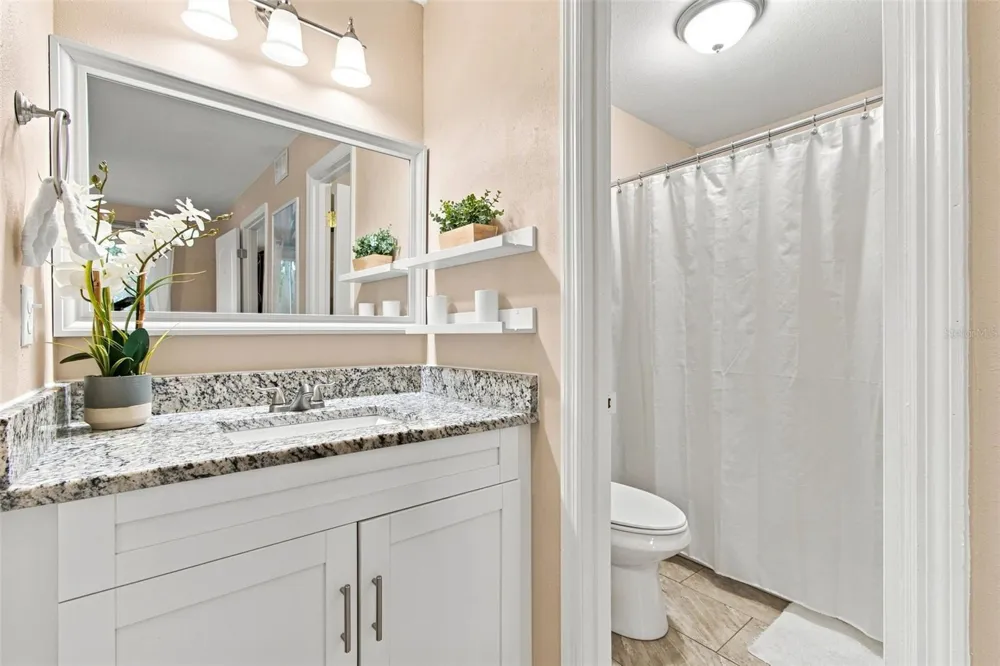 4115 CHATHAM OAK COURT #215 Tampa, FL 33624