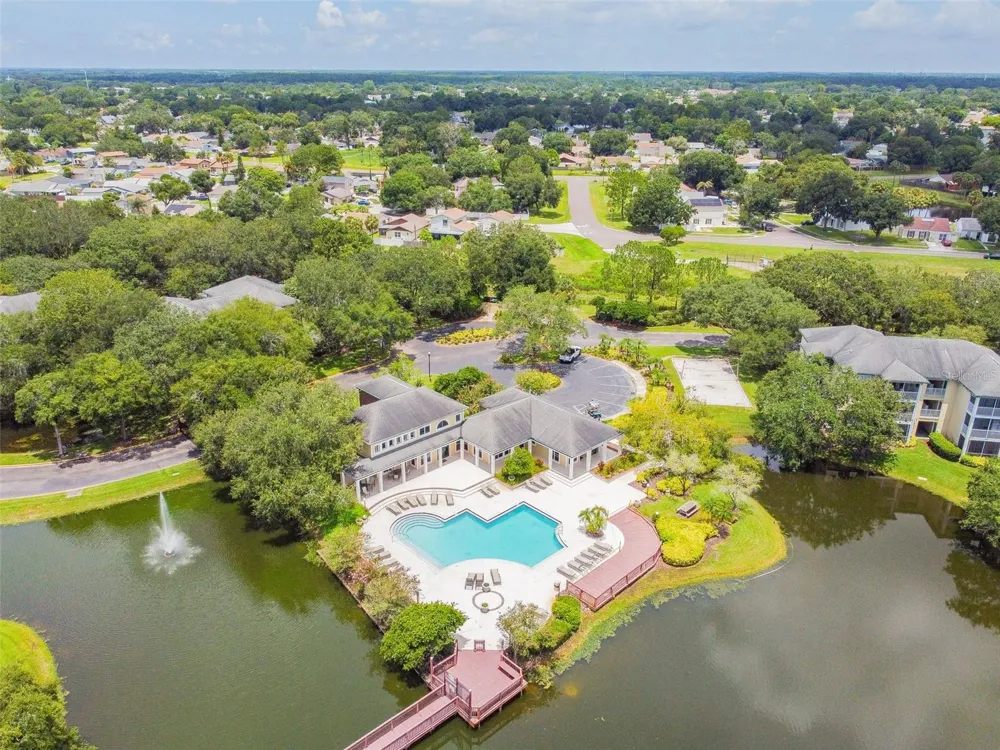 4115 CHATHAM OAK COURT #215 Tampa, FL 33624