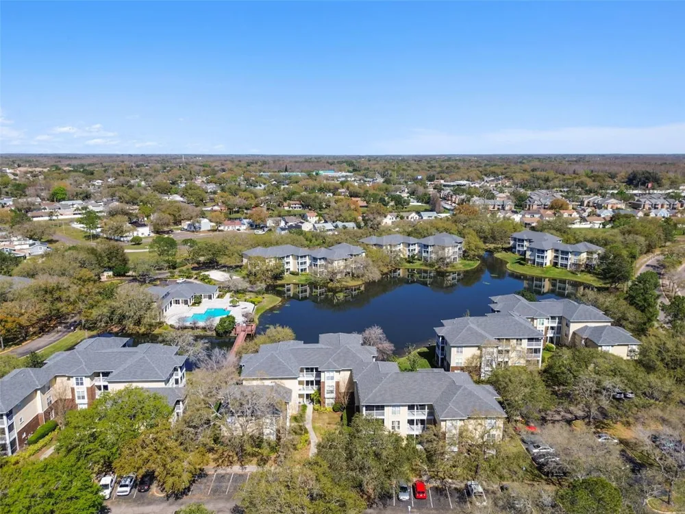 4115 CHATHAM OAK COURT #215 Tampa, FL 33624