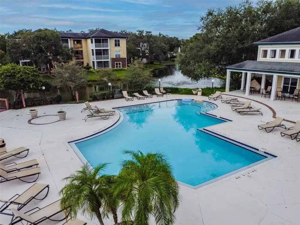 4115 CHATHAM OAK COURT #215 Tampa, FL 33624