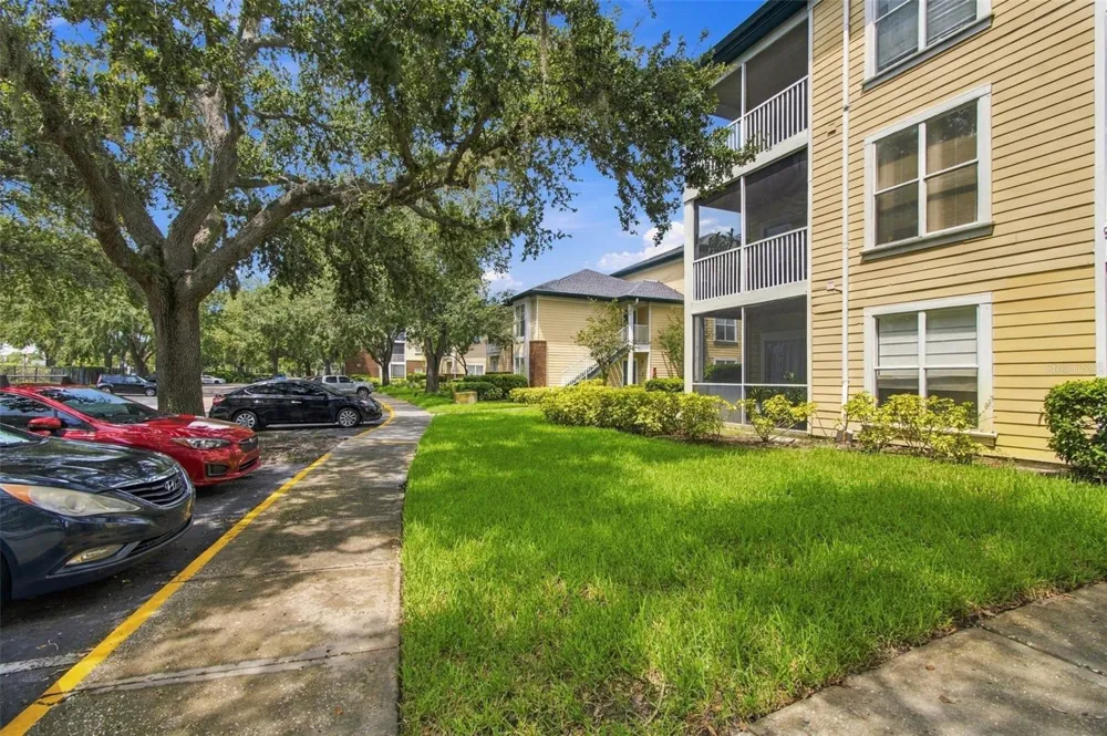 4115 CHATHAM OAK COURT #215 Tampa, FL 33624
