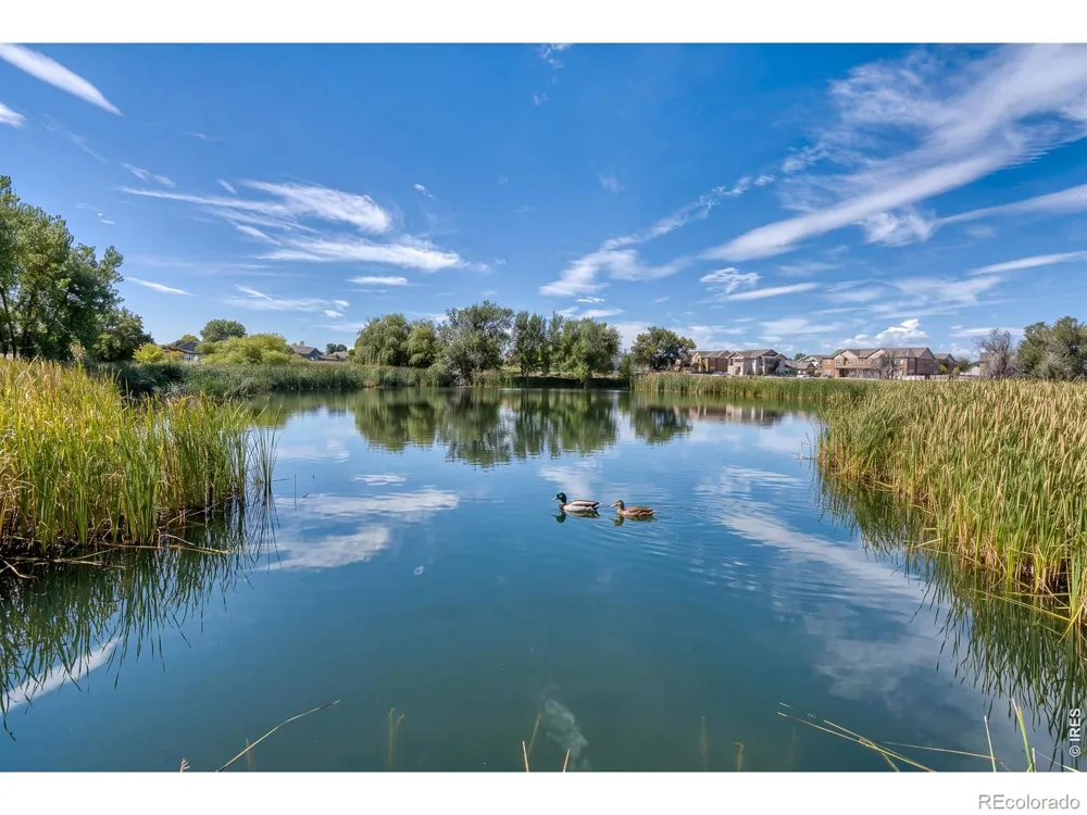 3639 29th Street Greeley, CO 80634